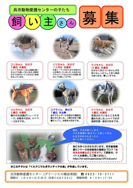 呉市動物愛護センター 飼い主さん募集 珠玉の小箱 呉市動物愛護センター 飼い主さん募集 珠玉の小箱