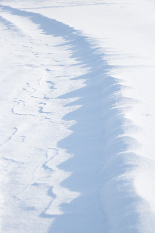 f0009433_110285.jpg
