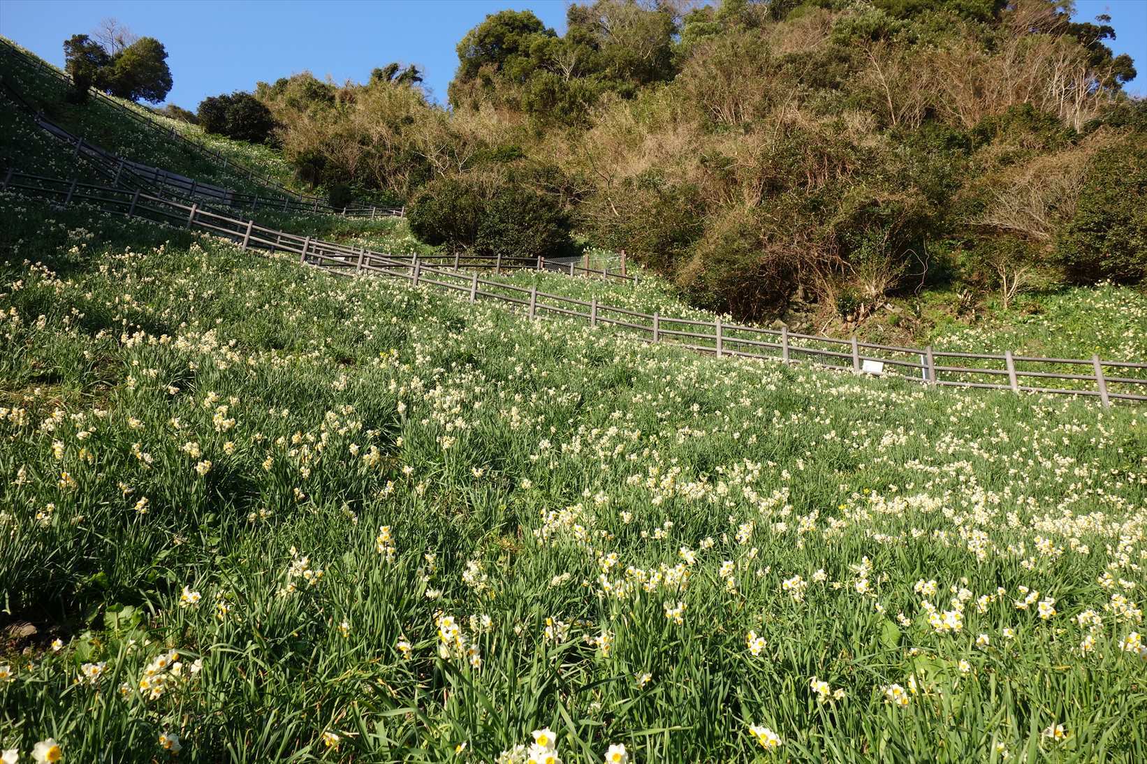 △　淡路島最高峰の諭鶴羽山と灘黒岩水仙郷を巡る山旅　△_f0348933_16532226.jpg