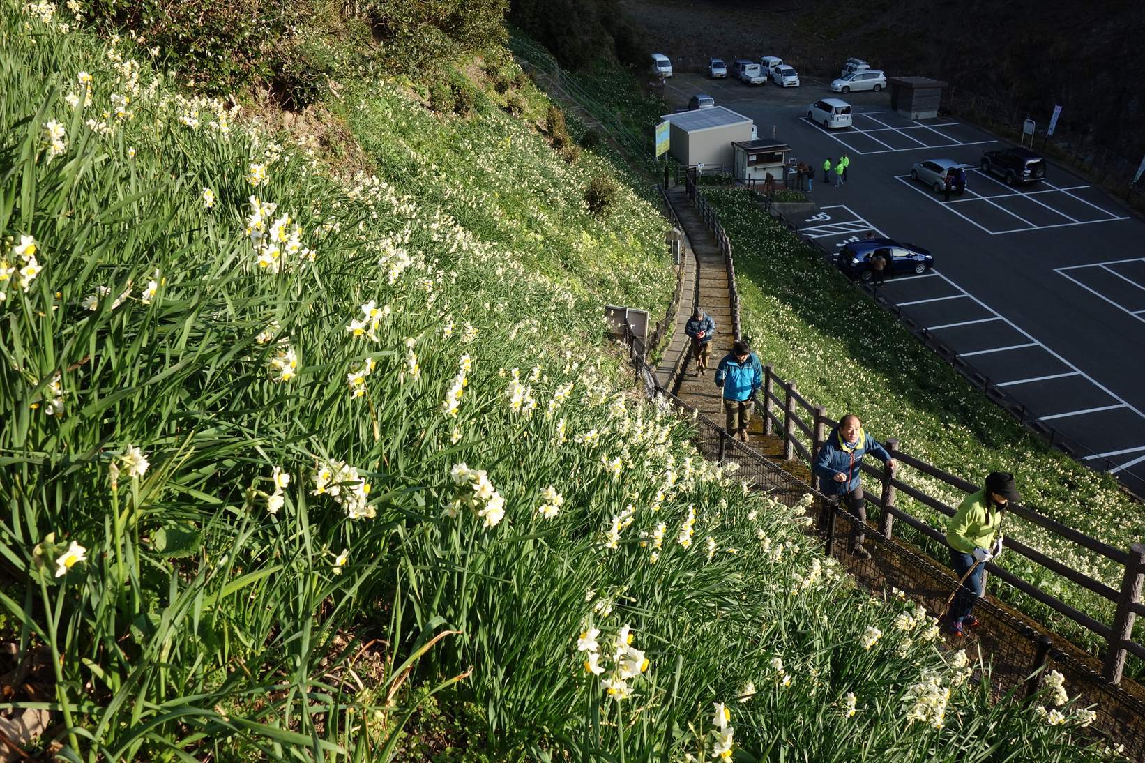 △　淡路島最高峰の諭鶴羽山と灘黒岩水仙郷を巡る山旅　△_f0348933_16574270.jpg