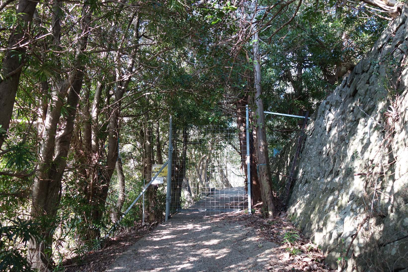 △　淡路島最高峰の諭鶴羽山と灘黒岩水仙郷を巡る山旅　△_f0348933_17340394.jpg