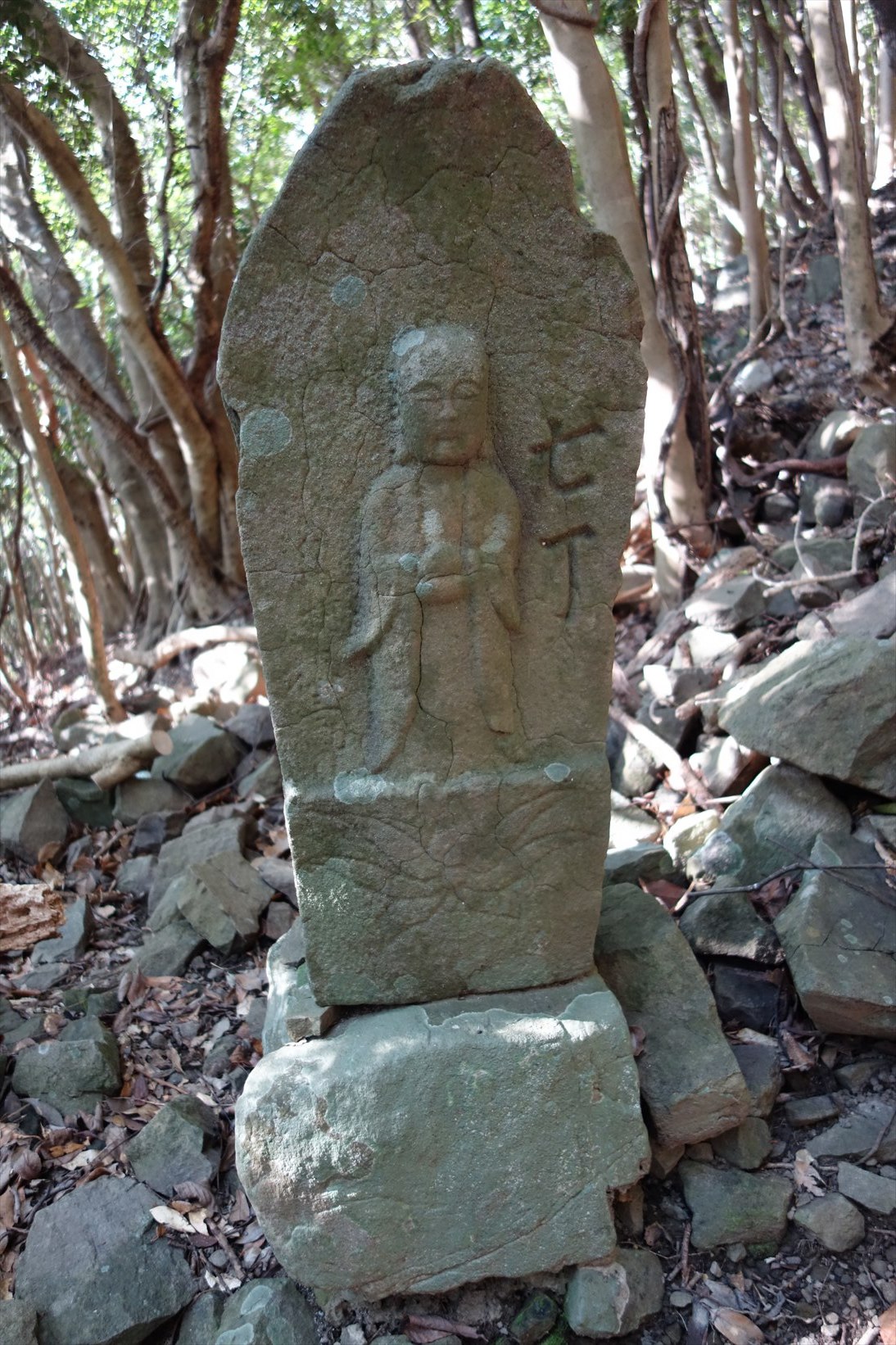 △　淡路島最高峰の諭鶴羽山と灘黒岩水仙郷を巡る山旅　△_f0348933_17354793.jpg