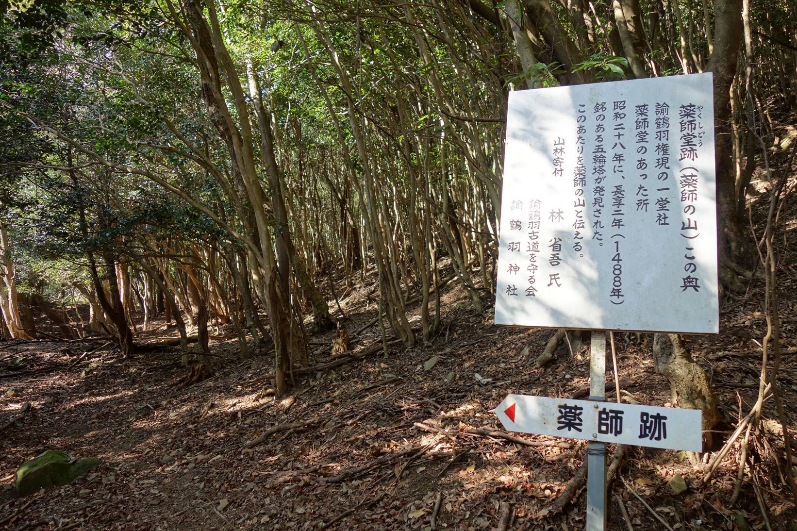 △　淡路島最高峰の諭鶴羽山と灘黒岩水仙郷を巡る山旅　△_f0348933_17435969.jpg