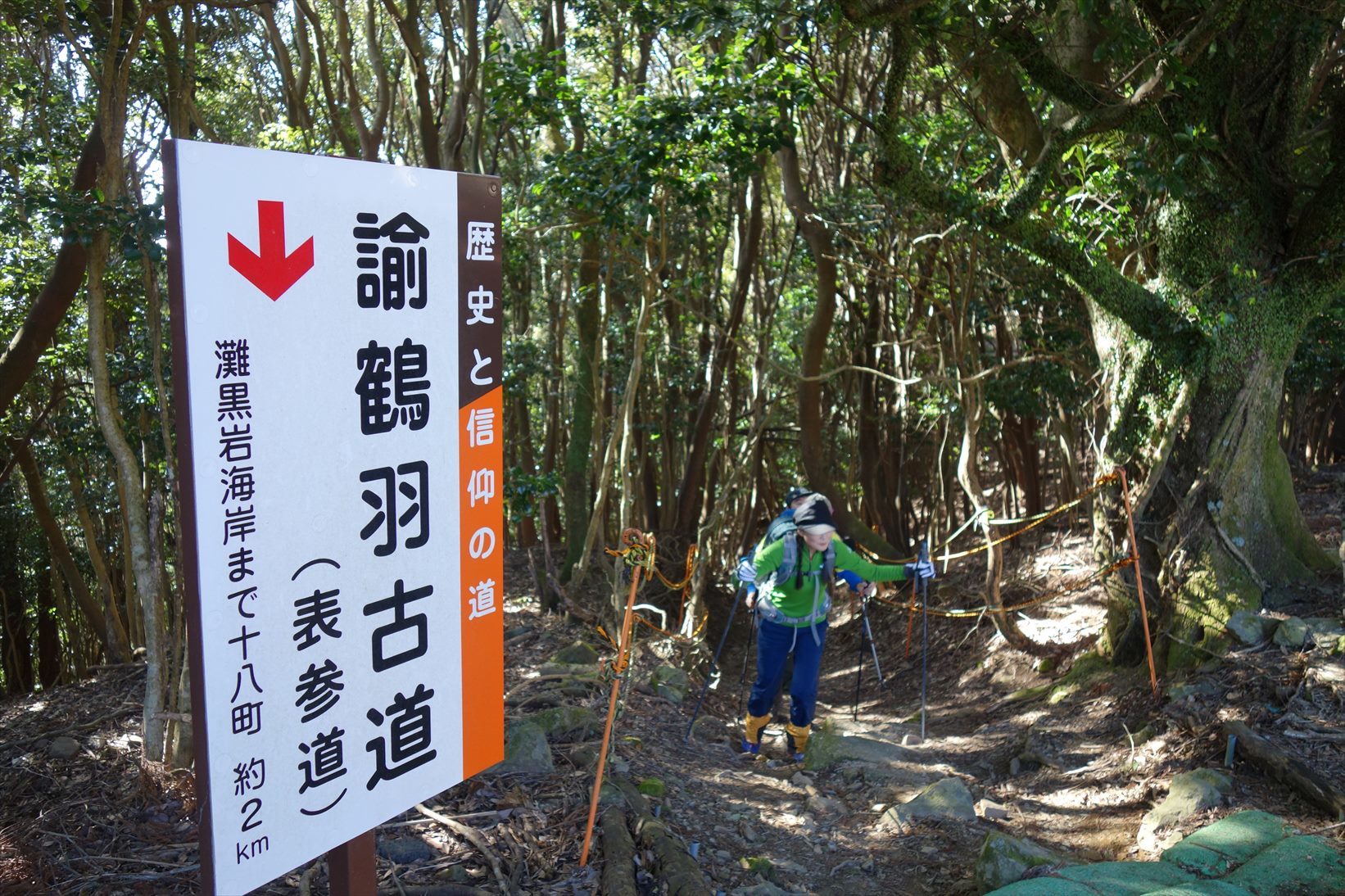 △　淡路島最高峰の諭鶴羽山と灘黒岩水仙郷を巡る山旅　△_f0348933_17445105.jpg