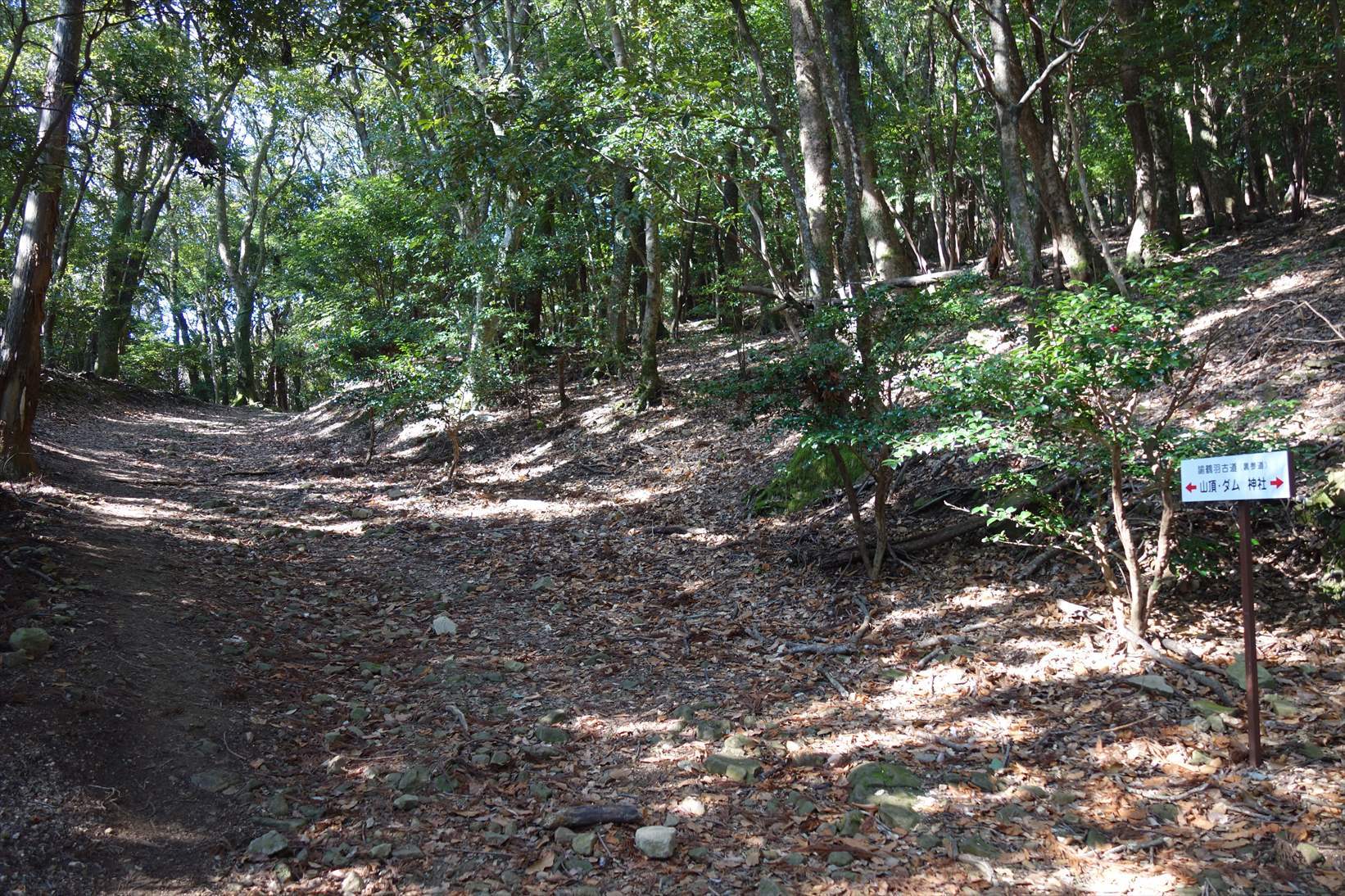 △　淡路島最高峰の諭鶴羽山と灘黒岩水仙郷を巡る山旅　△_f0348933_17543781.jpg