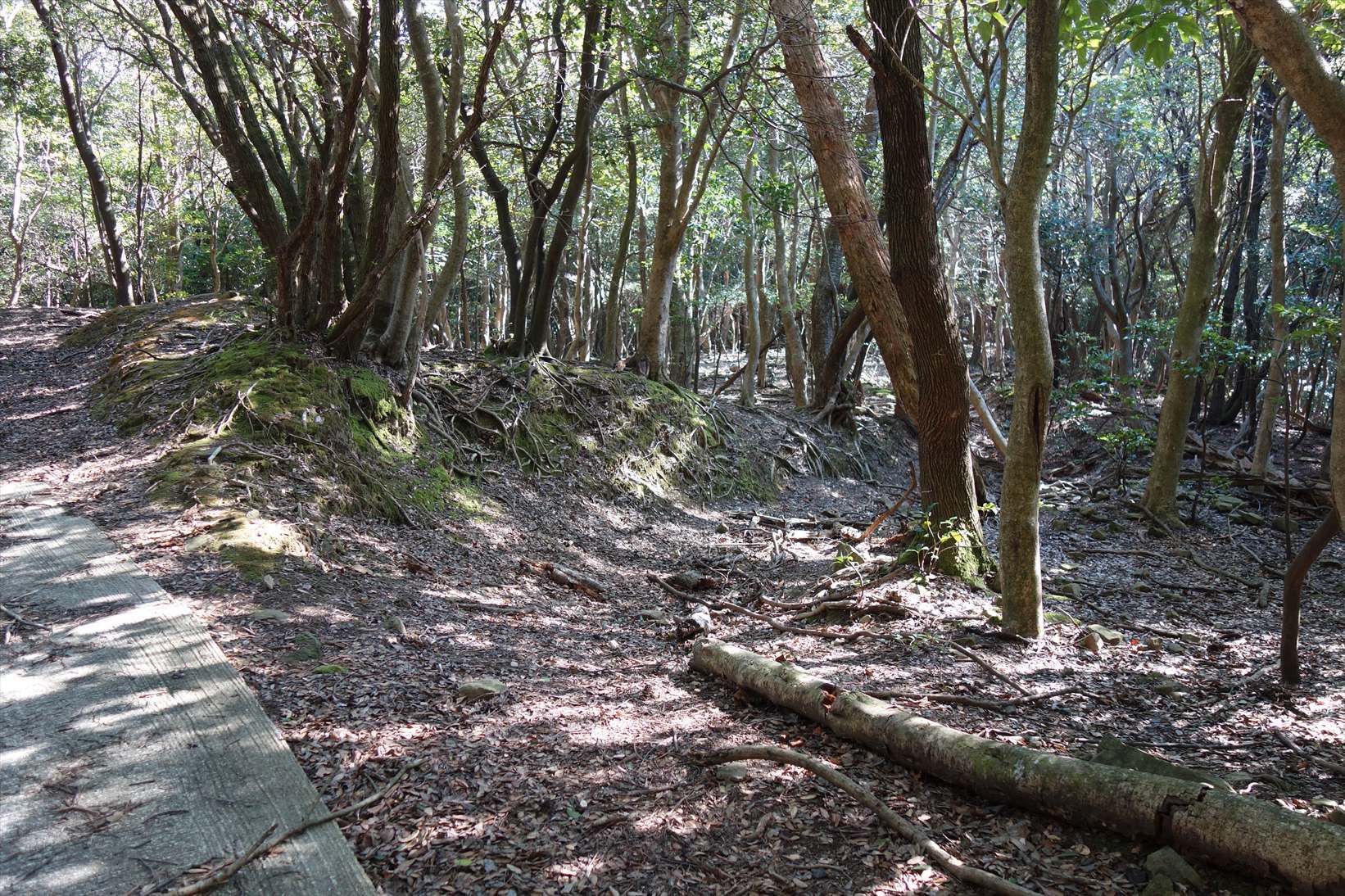 f0348933_18142483.jpg