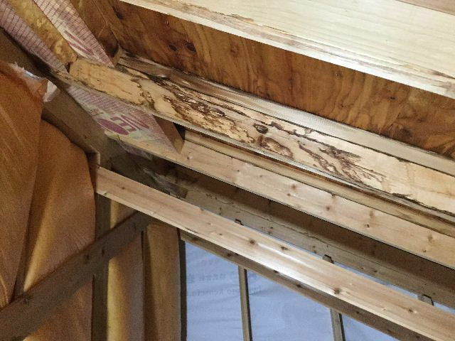 屋根裏部屋での特殊な作業_f0031037_14123803.jpg