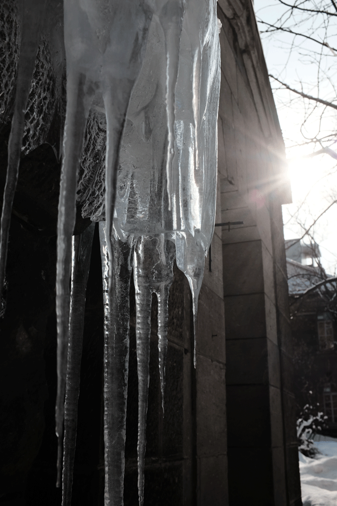 c0162846_18382572.gif