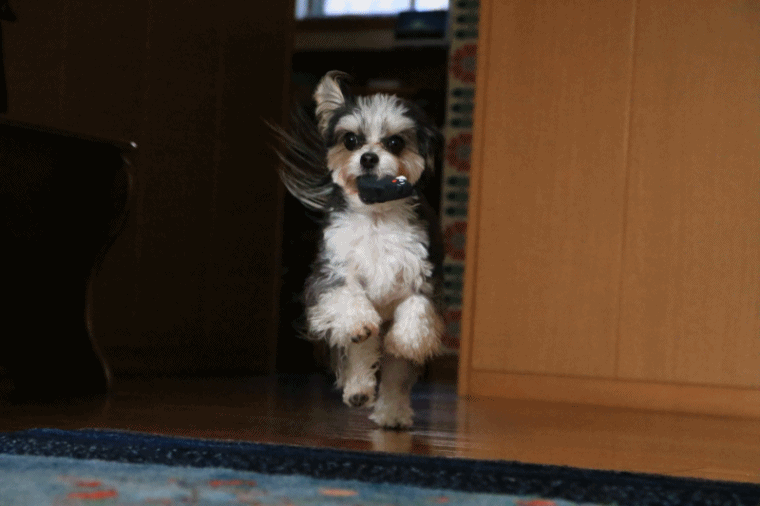 c0145250_09382220.gif