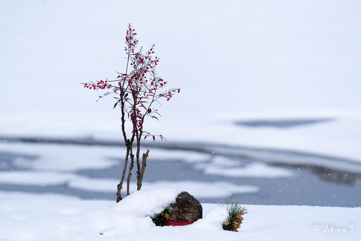 雪の広沢池 -2-_f0152550_22220332.jpg