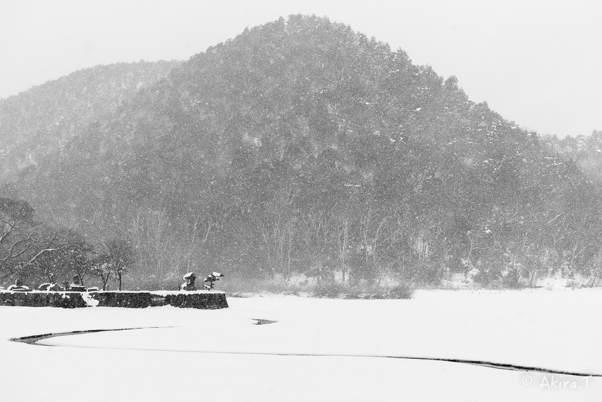 雪の広沢池 -2-_f0152550_22222698.jpg