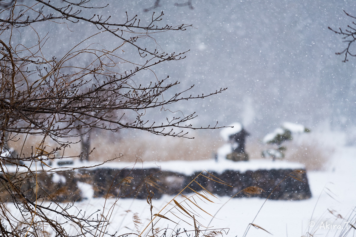 雪の広沢池 -2-_f0152550_22224478.jpg