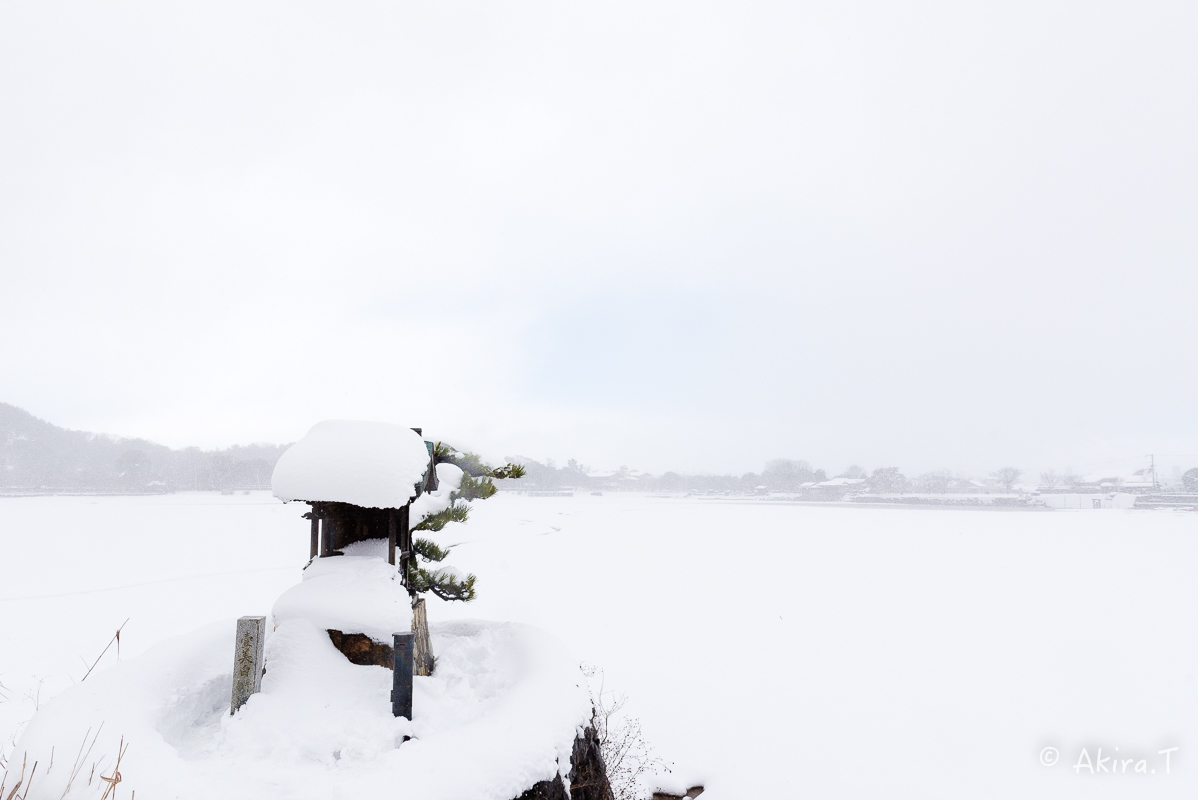 雪の広沢池 -2-_f0152550_22231951.jpg