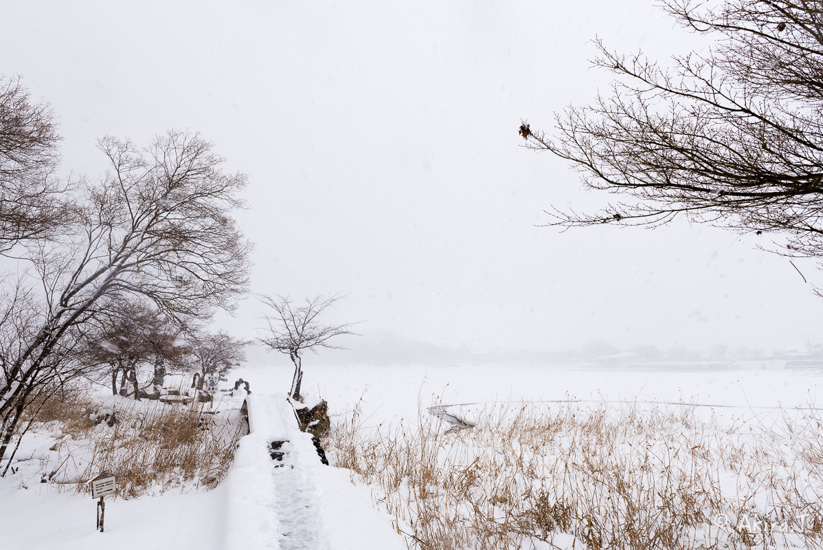 雪の広沢池 -2-_f0152550_22244083.jpg