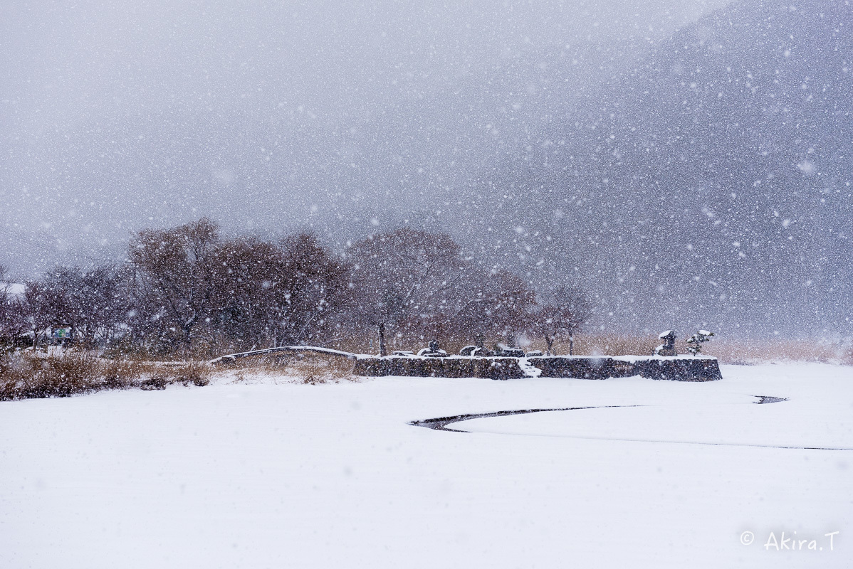 雪の広沢池 -2-_f0152550_22250699.jpg