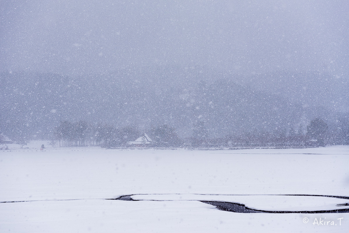 雪の広沢池 -2-_f0152550_22252046.jpg