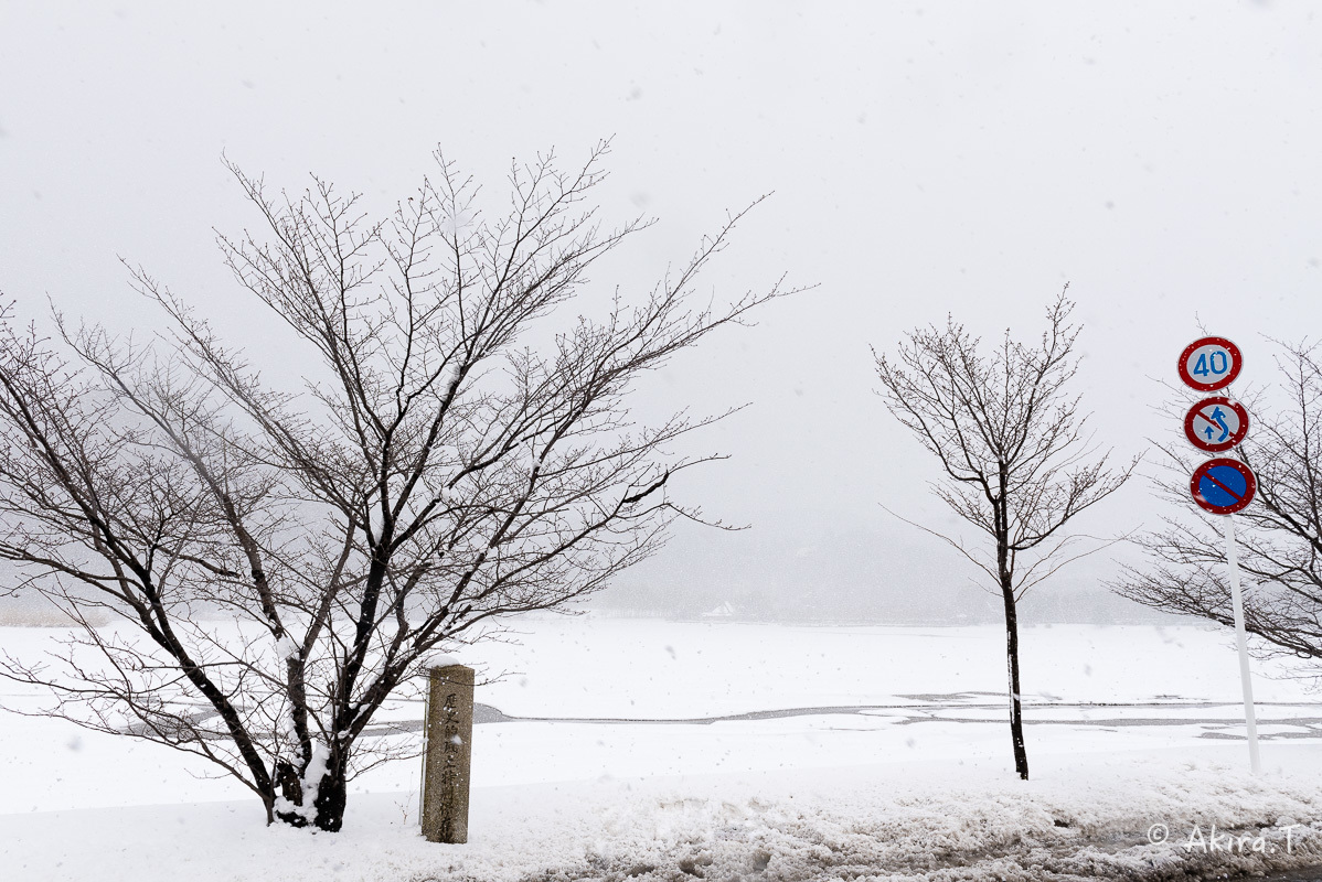 雪の広沢池 -2-_f0152550_22253428.jpg