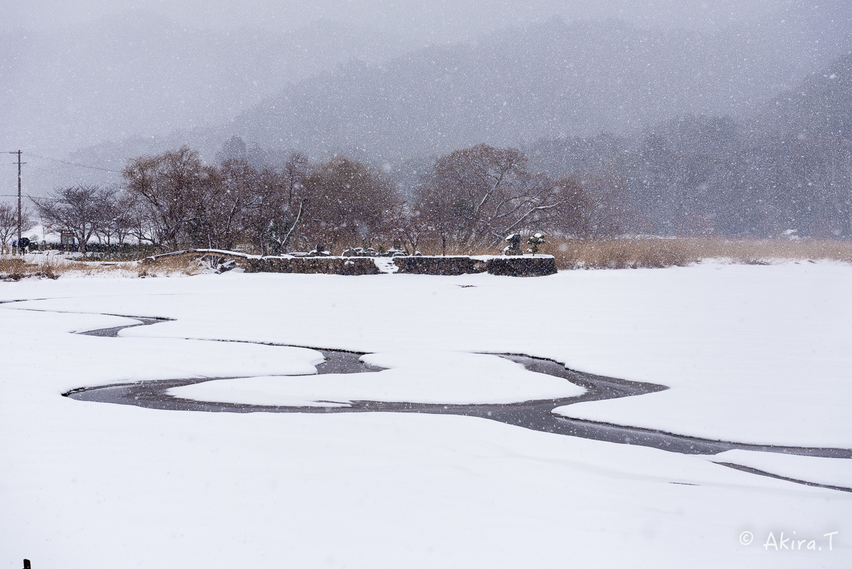 雪の広沢池 -2-_f0152550_22260326.jpg