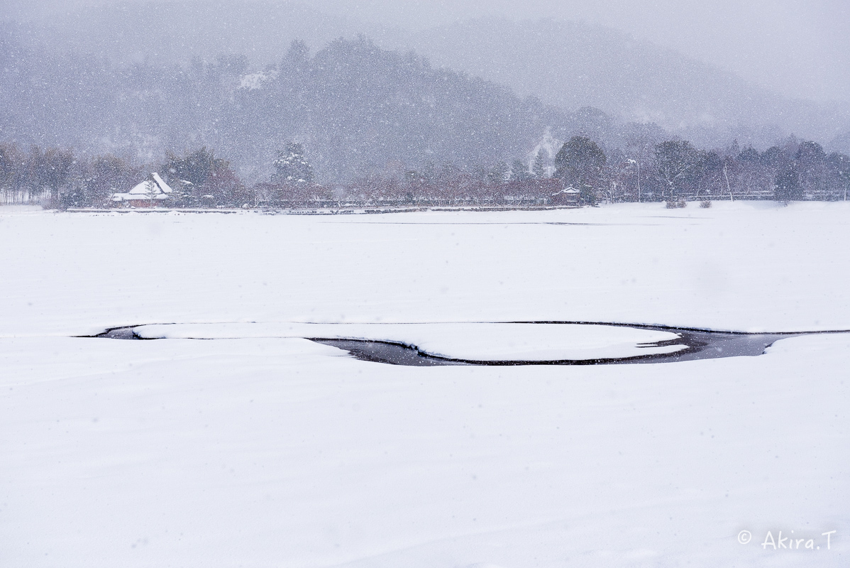 雪の広沢池 -2-_f0152550_22263651.jpg