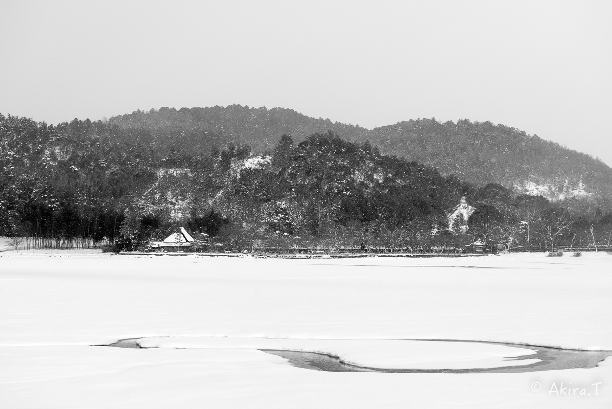 雪の広沢池 -2-_f0152550_22265181.jpg