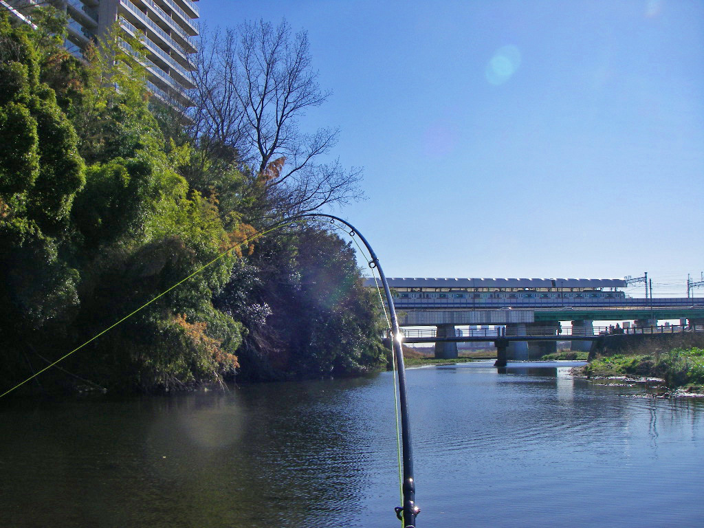 土曜日ならいいのかも？と思ったら。_a0130057_21555779.jpg