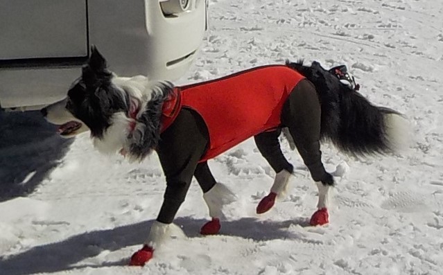 e0200357_00101555.jpg