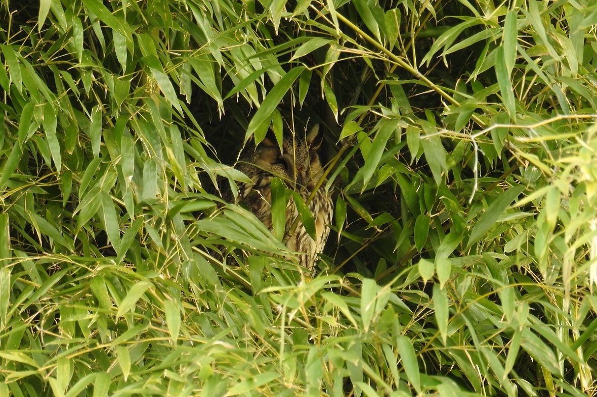 a0142459_19593131.jpg