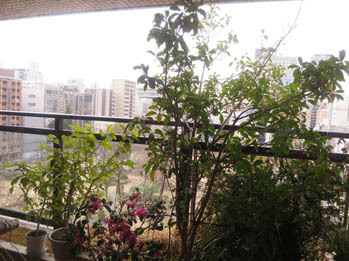 b0107163_13465145.jpg