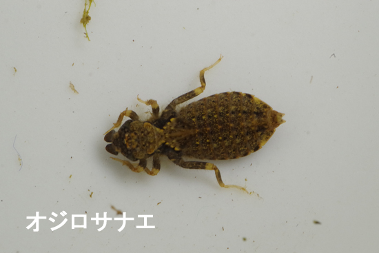 落胆と安堵_e0167571_19355738.jpg
