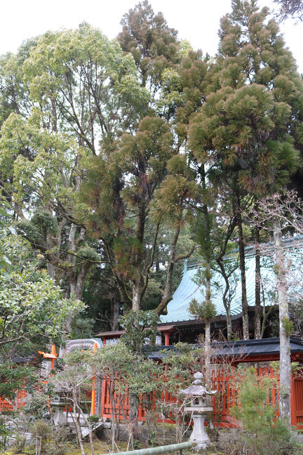 a0219573_17075475.jpg