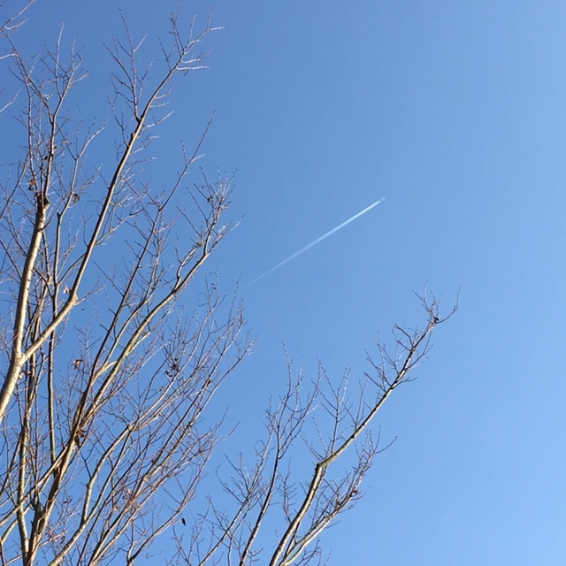 『飛行機雲』＆『花平皿』_c0334574_06094925.jpg