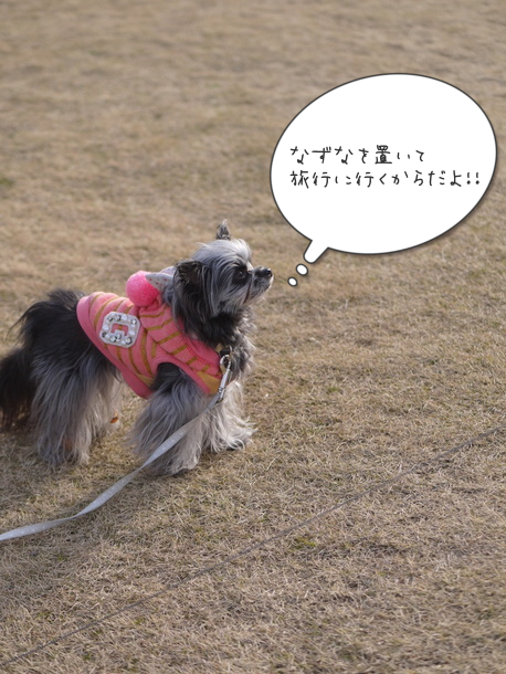 b0358575_23421739.png