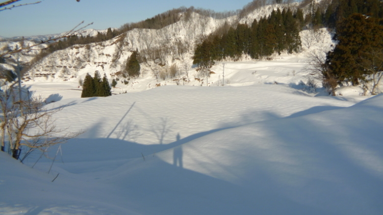 c0212083_16541529.jpg