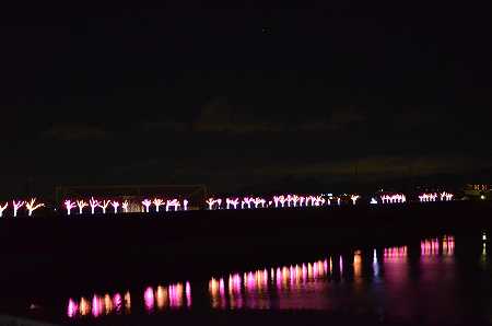 c0229483_2323218.jpg