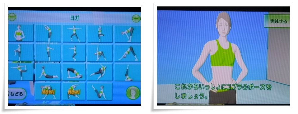 「Wii　Fit　Plus」　イン　お江戸　　_d0174983_22100905.jpg