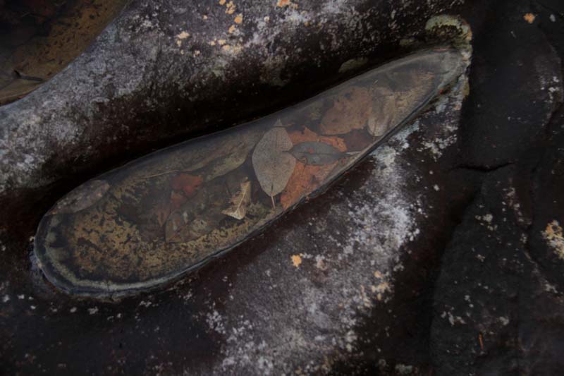 c0177785_6141242.jpg