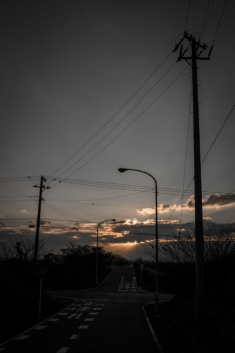 黄昏る冬の散歩道 (写真部門)_d0353489_1123789.jpg