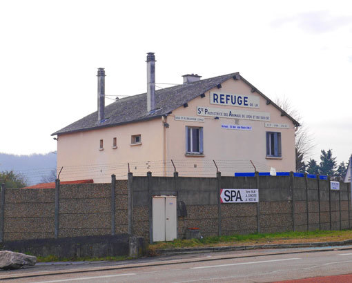 b0107891_19425760.jpg