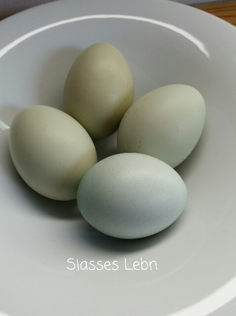 レビュー高評価の商品 薄緑色のたまご : Lebn Siasses アクセサリー