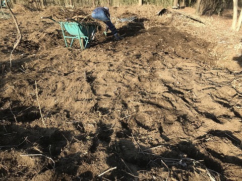 e0270403_11314079.jpg