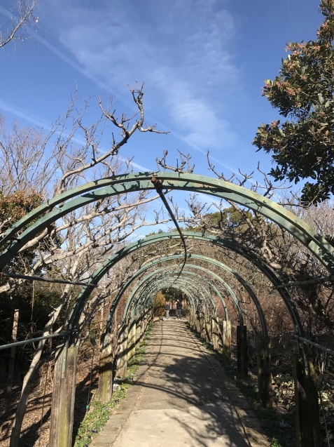 f0250403_17213968.jpg
