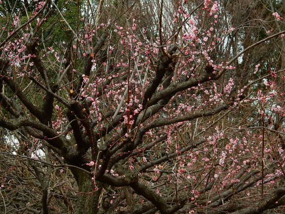 f0231709_12525147.jpg