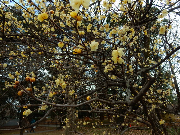 f0231709_1253542.jpg