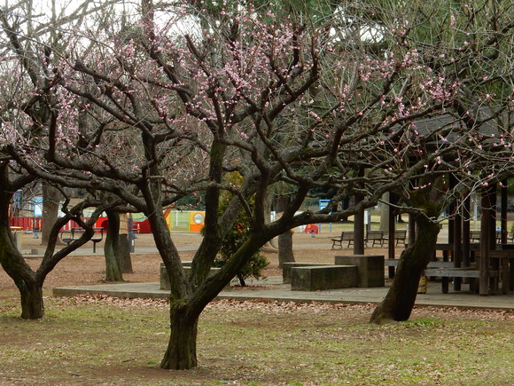 f0231709_1258783.jpg