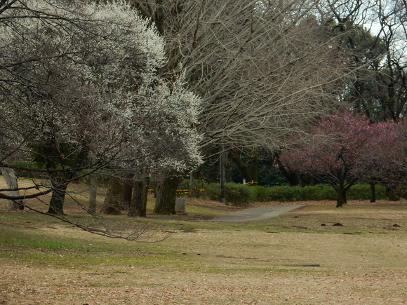 f0231709_1315042.jpg