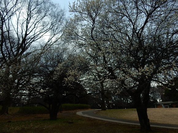 f0231709_132178.jpg