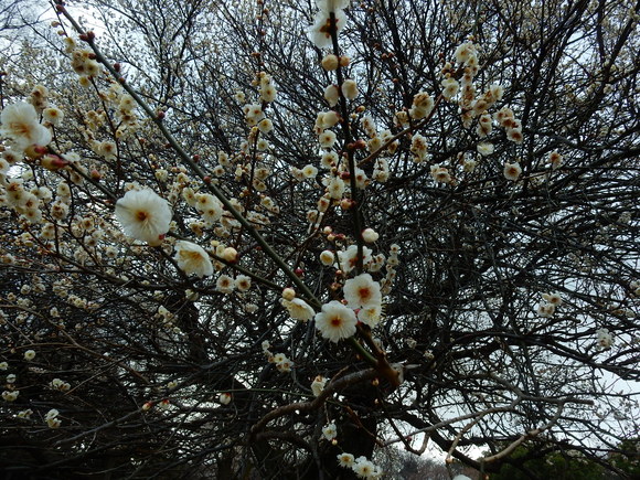 f0231709_132423.jpg