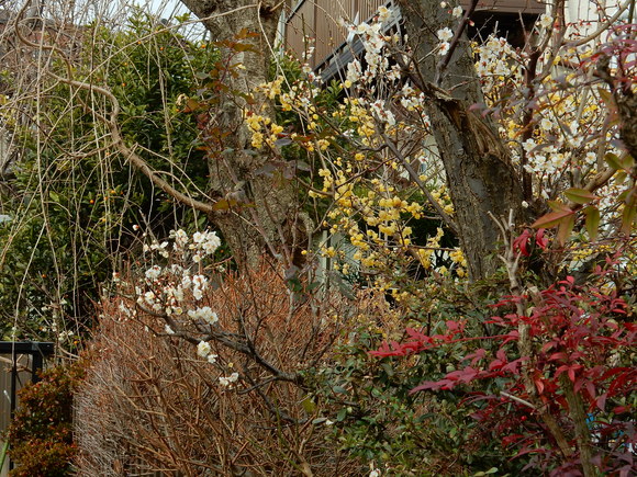 f0231709_1355966.jpg