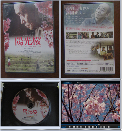 陽光桜の世界平和の映画dvd 17 1 30 徳ちゃん便り 陽光桜の世界平和の映画dvd 17 1 30 徳ちゃん便り