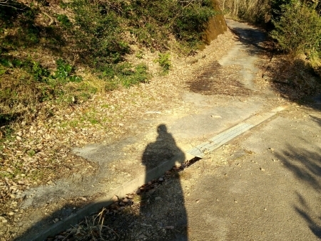 泥棒リターンズ。_a0300410_07180613.jpg